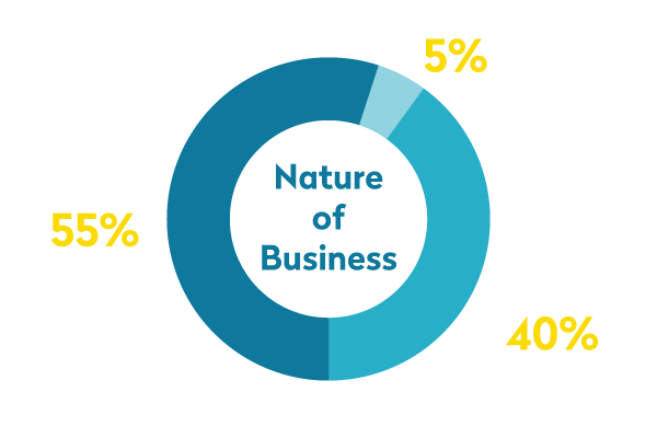 Nature of Business