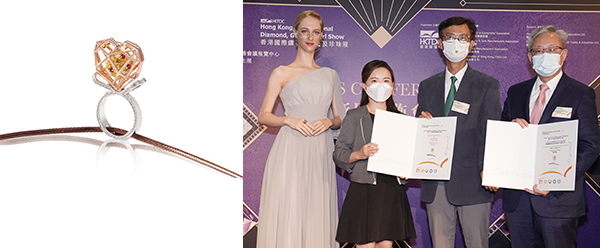 公开组大奖︰心窗 公开组大奖︰心窗