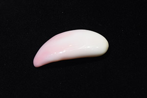 鳳凰螺粉紅色珍珠