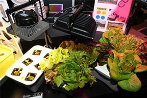 迷你水耕種植器 迷你水耕種植器