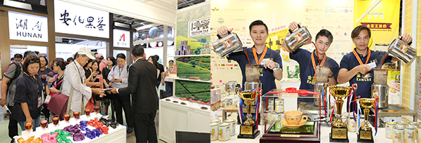 茶展 茶展