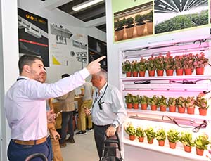 Plant grower Plant grower