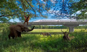 The East Coast Rail Link: A nature-loving artist's impression