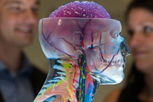 3D-printed medical solutions from Stratasys 3D-printed medical solutions from Stratasys