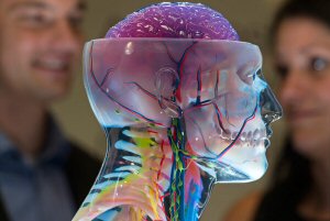 3D-printed medical solutions from Stratasys