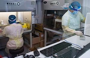 Laboratory Laboratory