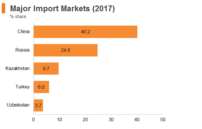 Graph: Kyrgyzstan major import markets (2017) Graph: Kyrgyzstan major import markets (2017)